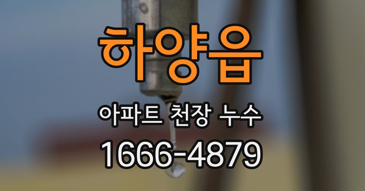 하양읍 아파트 천장 누수