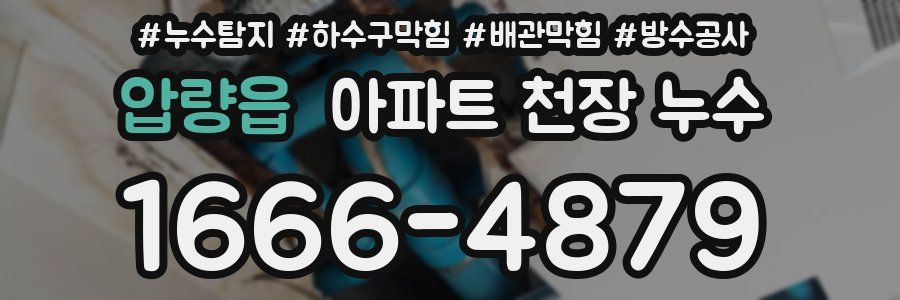 압량읍 아파트 천장 누수