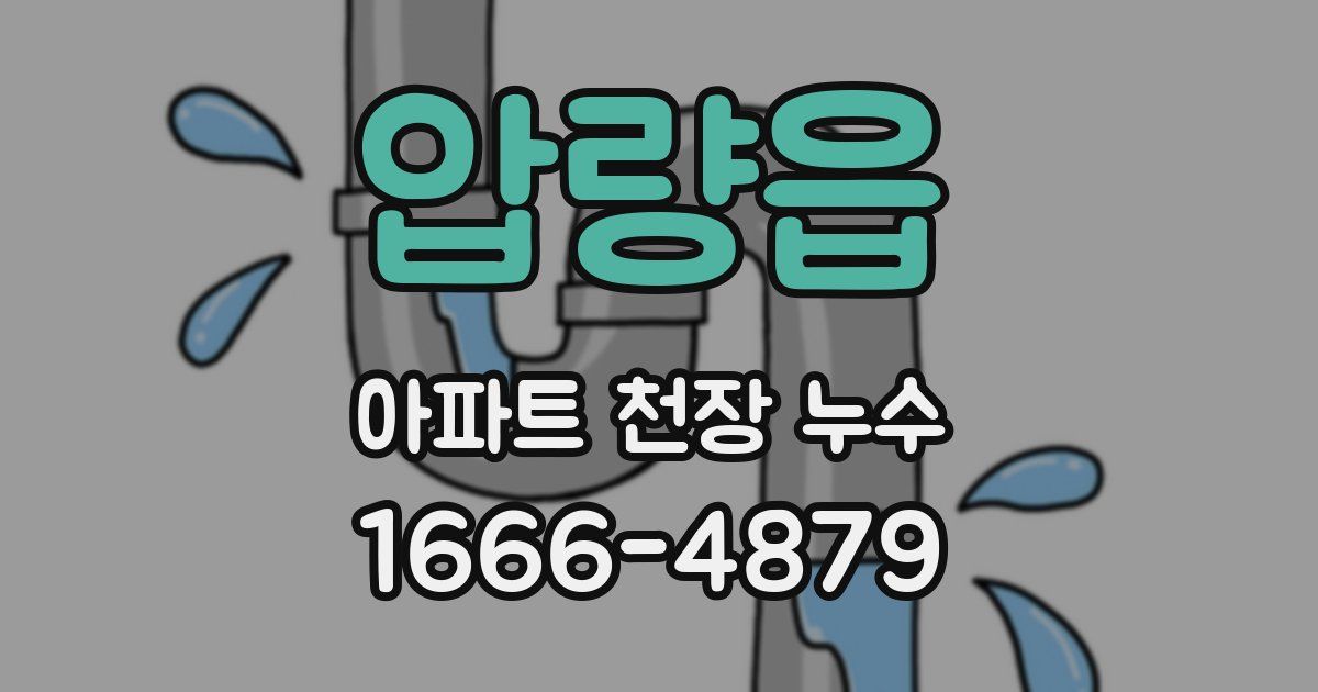 압량읍 아파트 천장 누수