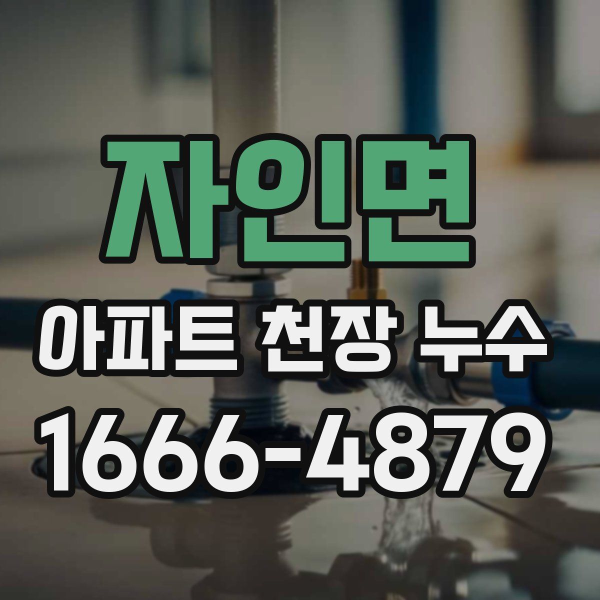 자인면 아파트 천장 누수