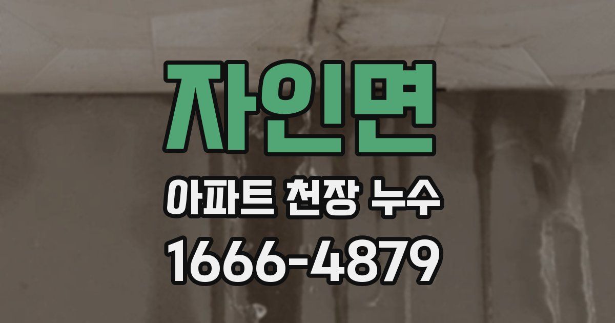 자인면 아파트 천장 누수