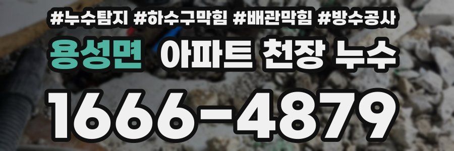 용성면 아파트 천장 누수