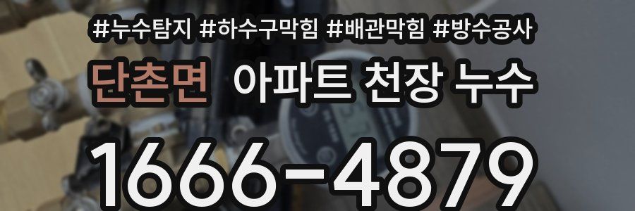 단촌면 아파트 천장 누수