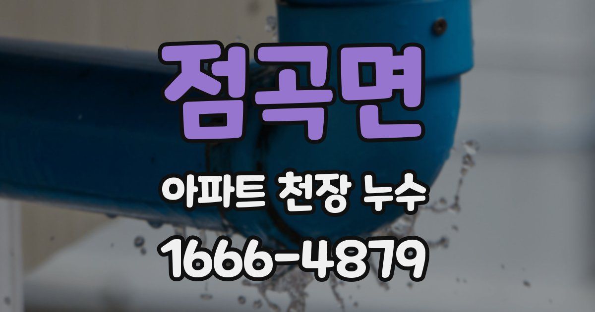 점곡면 아파트 천장 누수