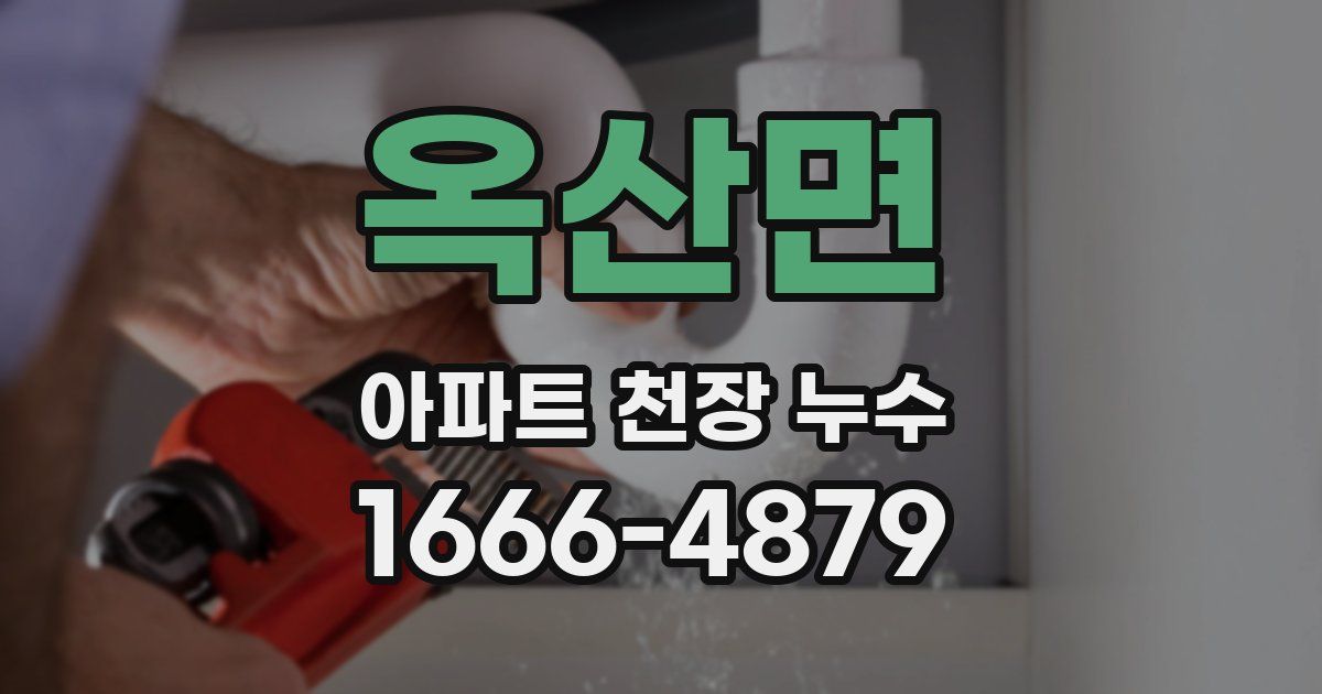 옥산면 아파트 천장 누수