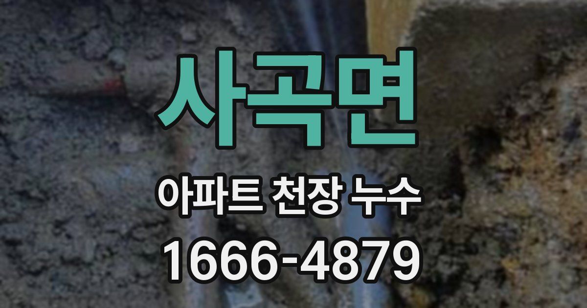 사곡면 아파트 천장 누수
