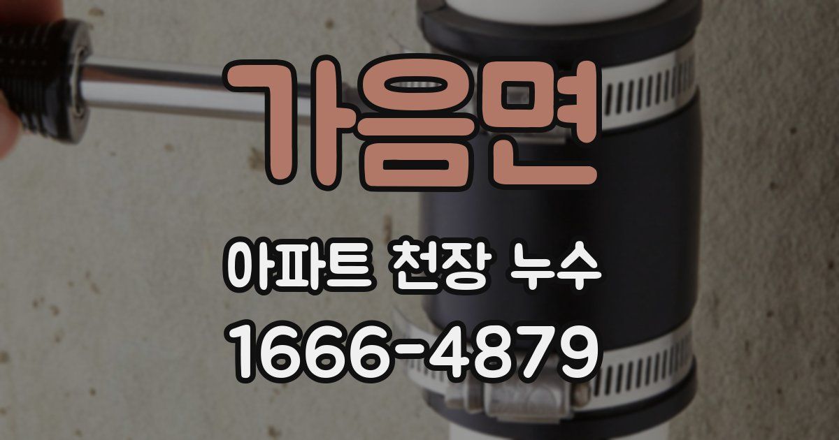 가음면 아파트 천장 누수