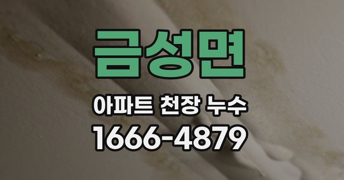 금성면 아파트 천장 누수
