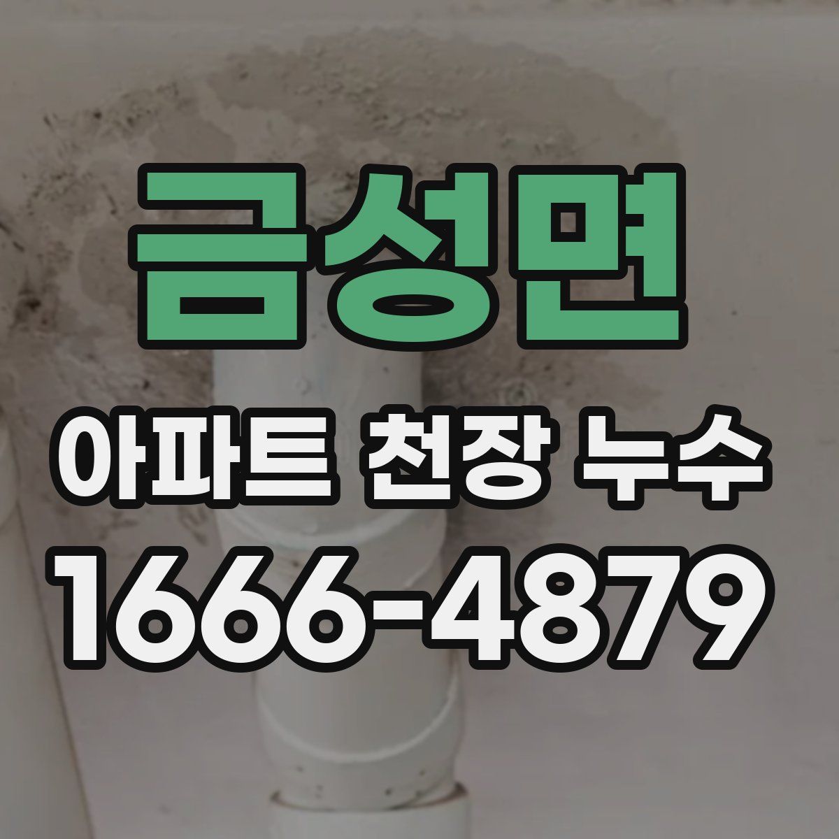 금성면 아파트 천장 누수