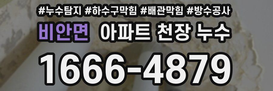 비안면 아파트 천장 누수