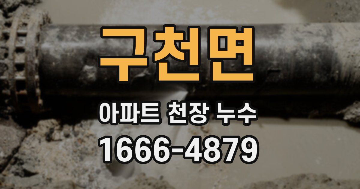 구천면 아파트 천장 누수