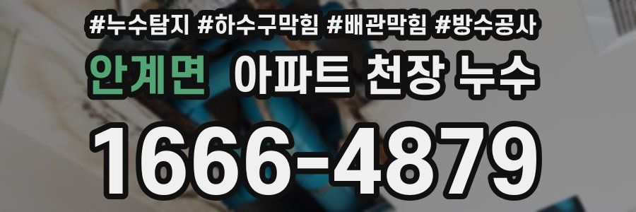안계면 아파트 천장 누수