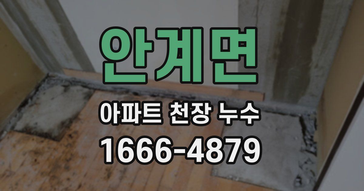 안계면 아파트 천장 누수