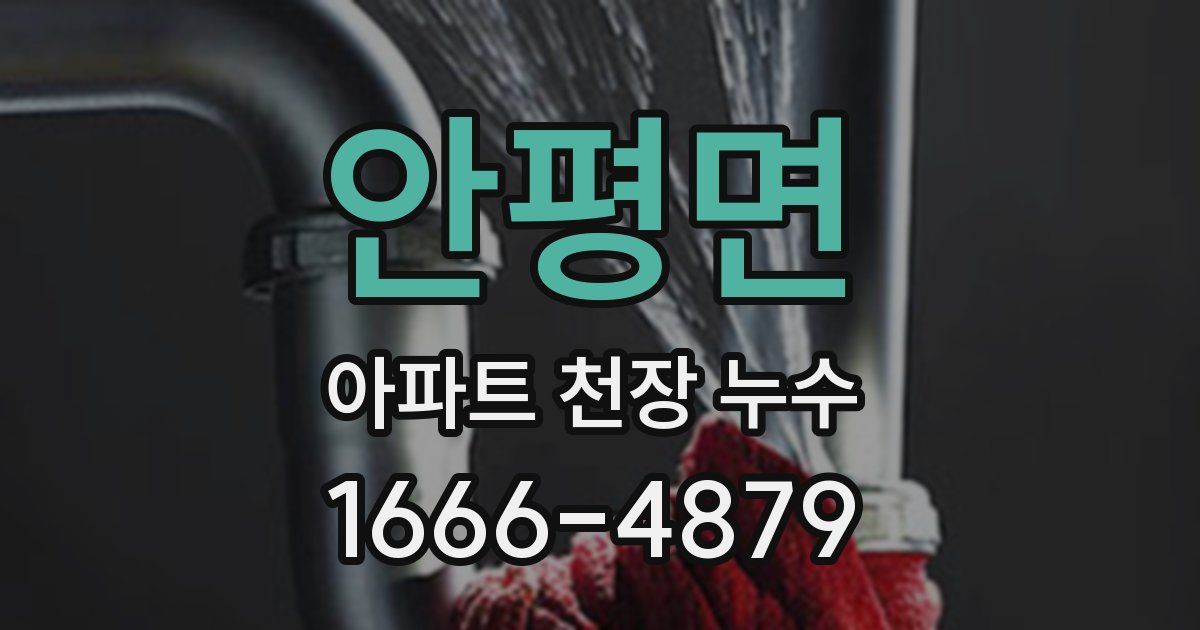 안평면 아파트 천장 누수