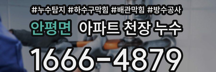 안평면 아파트 천장 누수