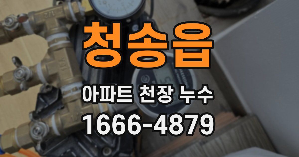 청송읍 아파트 천장 누수