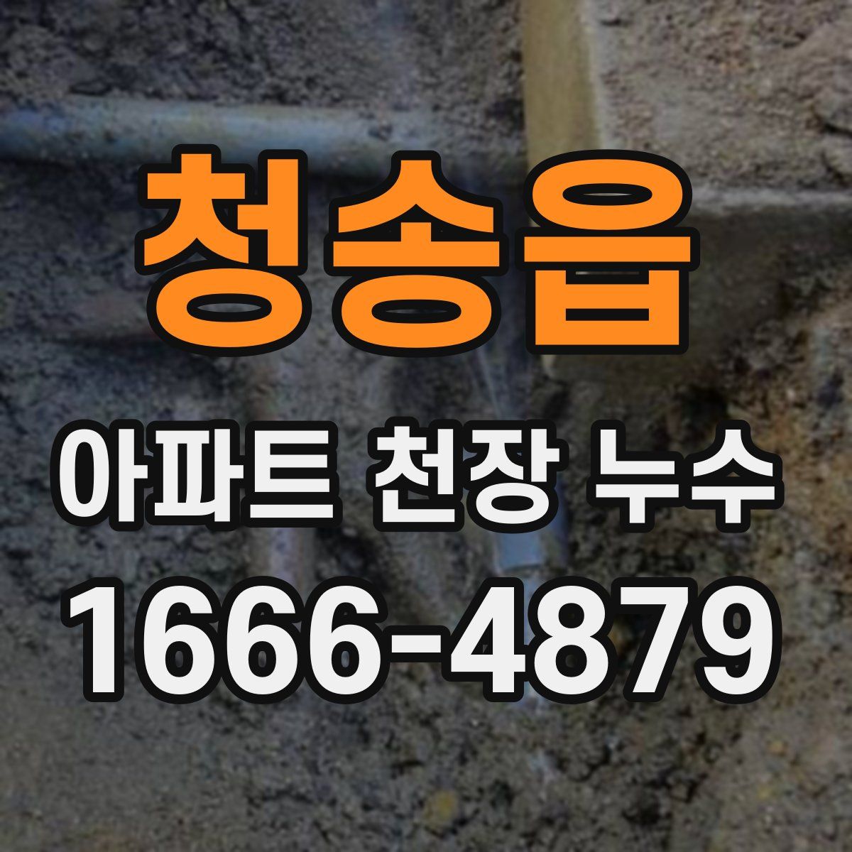 청송읍 아파트 천장 누수