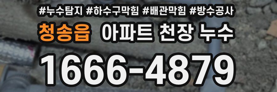청송읍 아파트 천장 누수