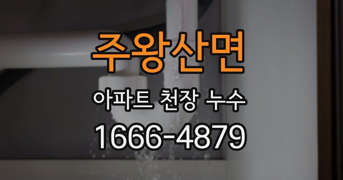 주왕산면 아파트 천장 누수