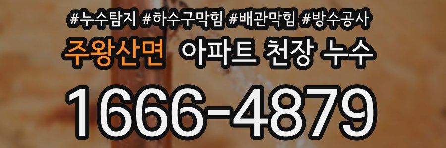 주왕산면 아파트 천장 누수