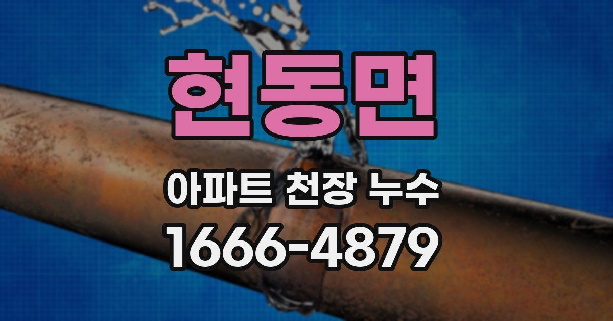 현동면 아파트 천장 누수