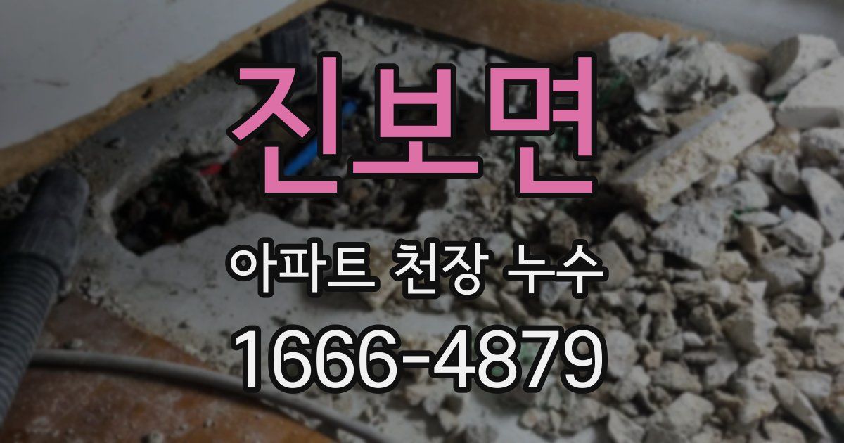 진보면 아파트 천장 누수