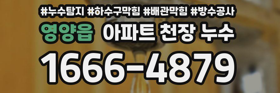 영양읍 아파트 천장 누수