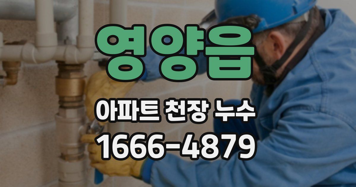 영양읍 아파트 천장 누수