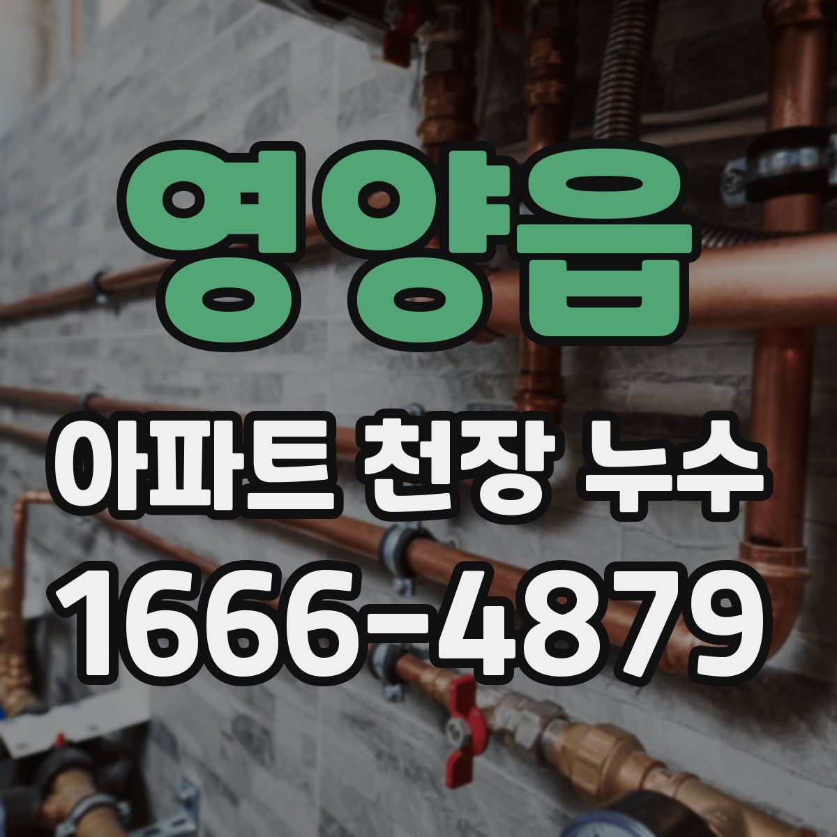 영양읍 아파트 천장 누수