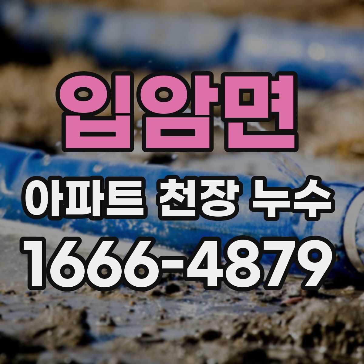 입암면 아파트 천장 누수