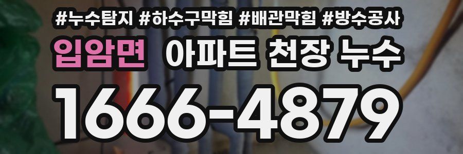 입암면 아파트 천장 누수