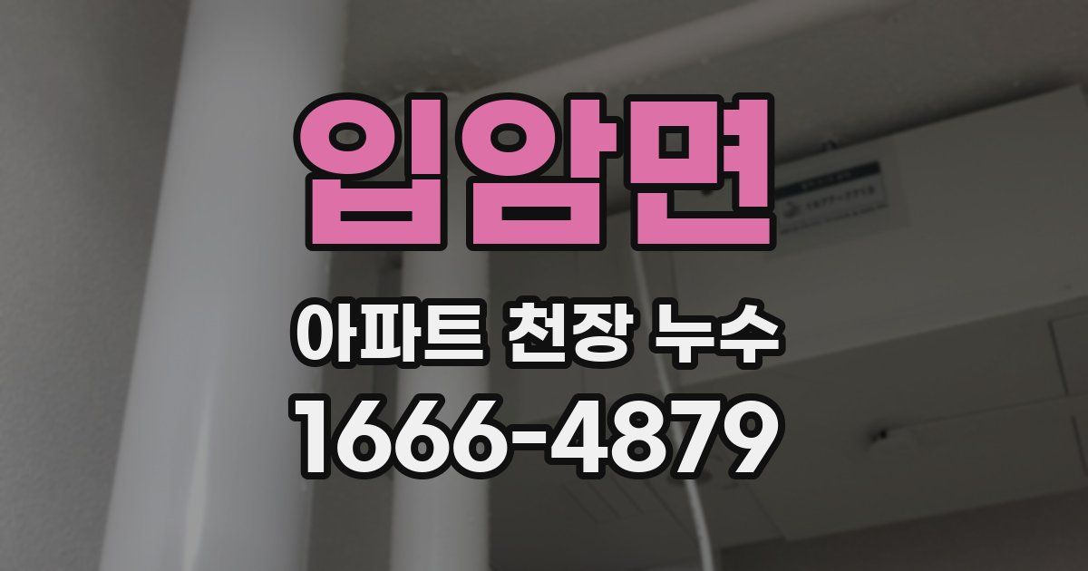 입암면 아파트 천장 누수