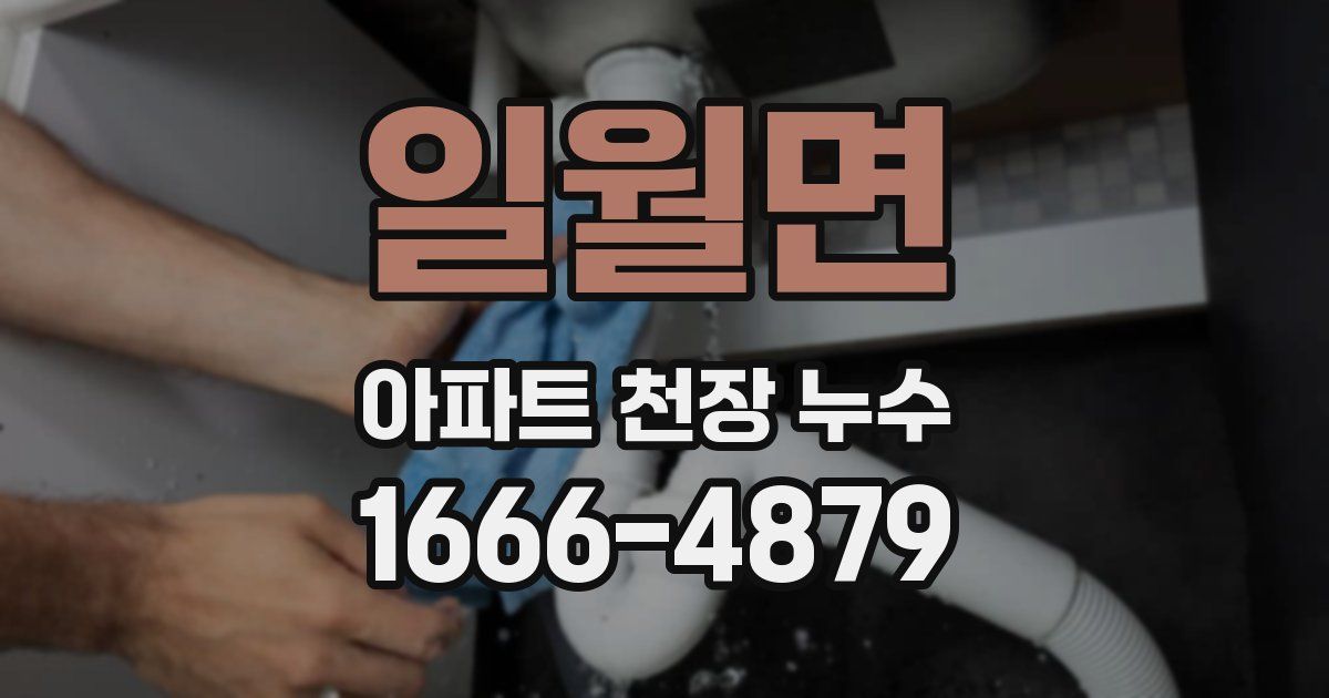 일월면 아파트 천장 누수