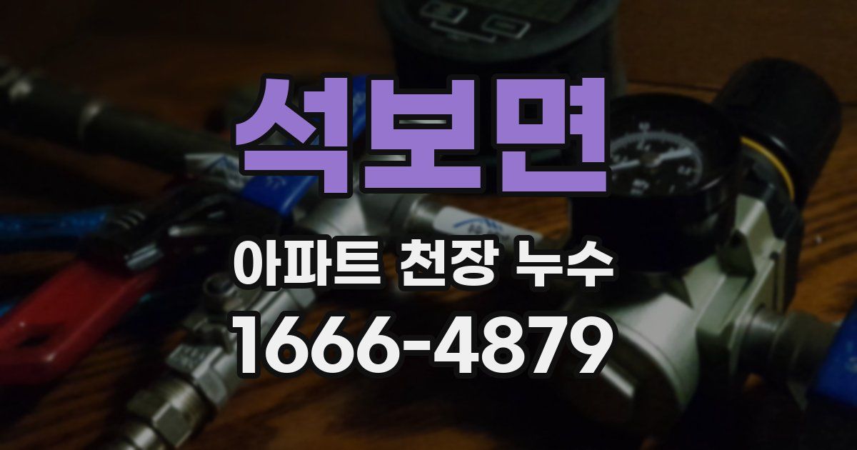 석보면 아파트 천장 누수