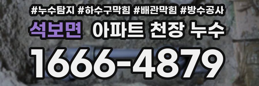 석보면 아파트 천장 누수