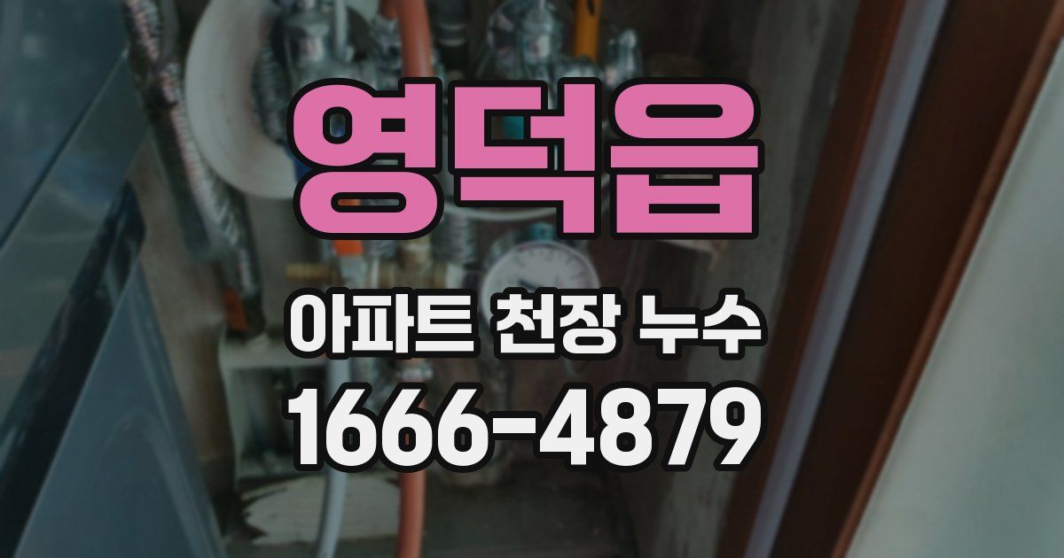 영덕읍 아파트 천장 누수