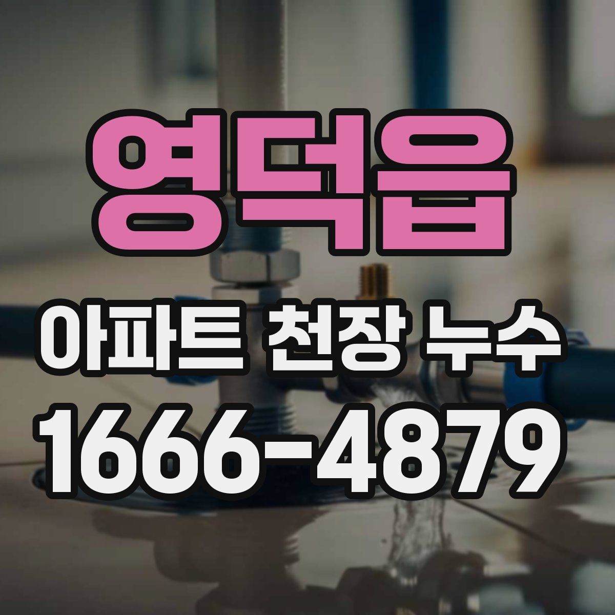영덕읍 아파트 천장 누수
