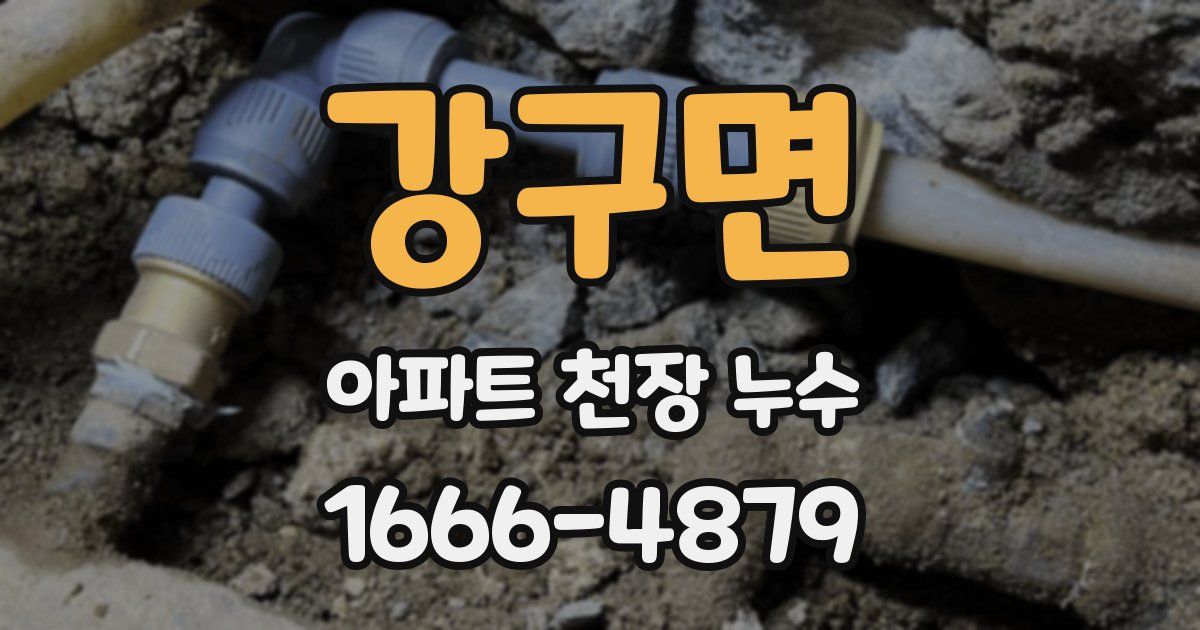 강구면 아파트 천장 누수