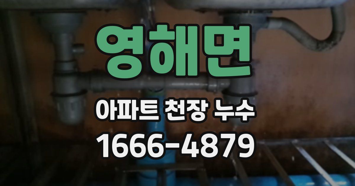 영해면 아파트 천장 누수
