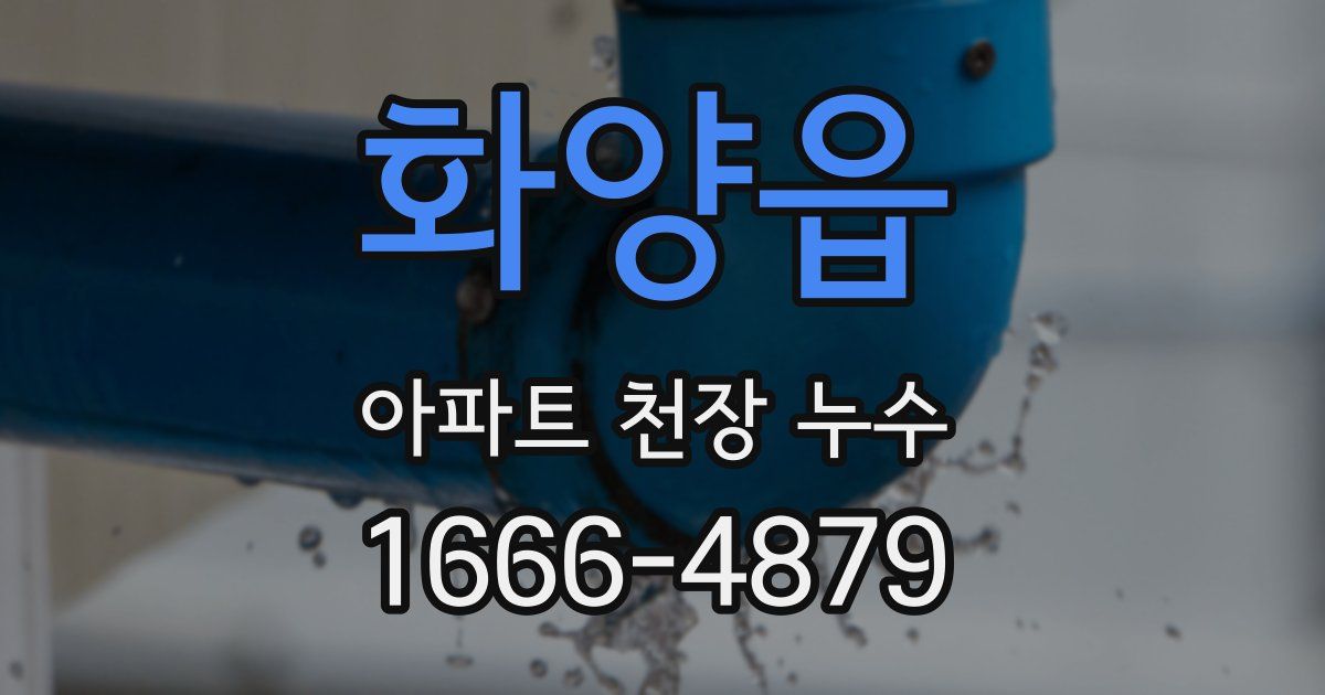 화양읍 아파트 천장 누수