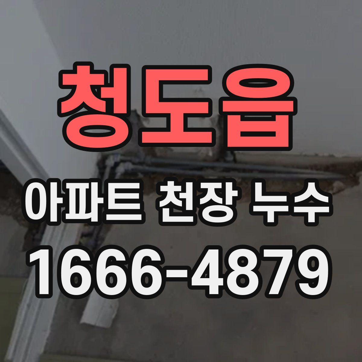 청도읍 아파트 천장 누수