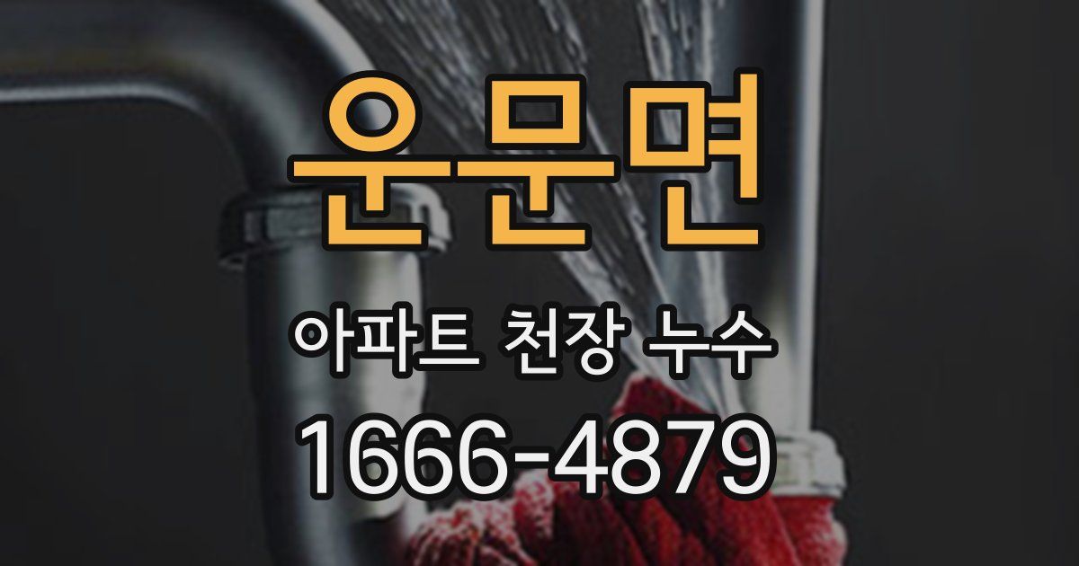 운문면 아파트 천장 누수
