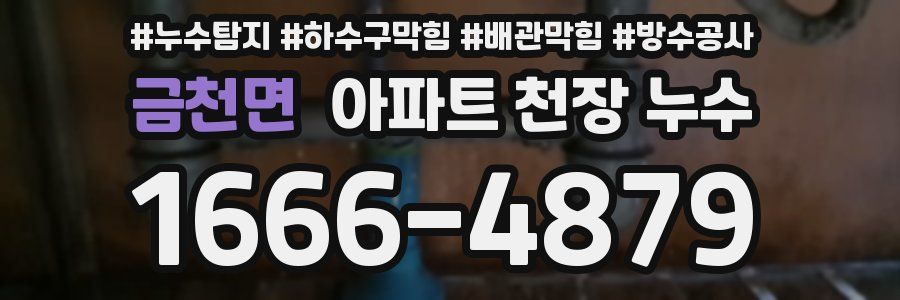 금천면 아파트 천장 누수