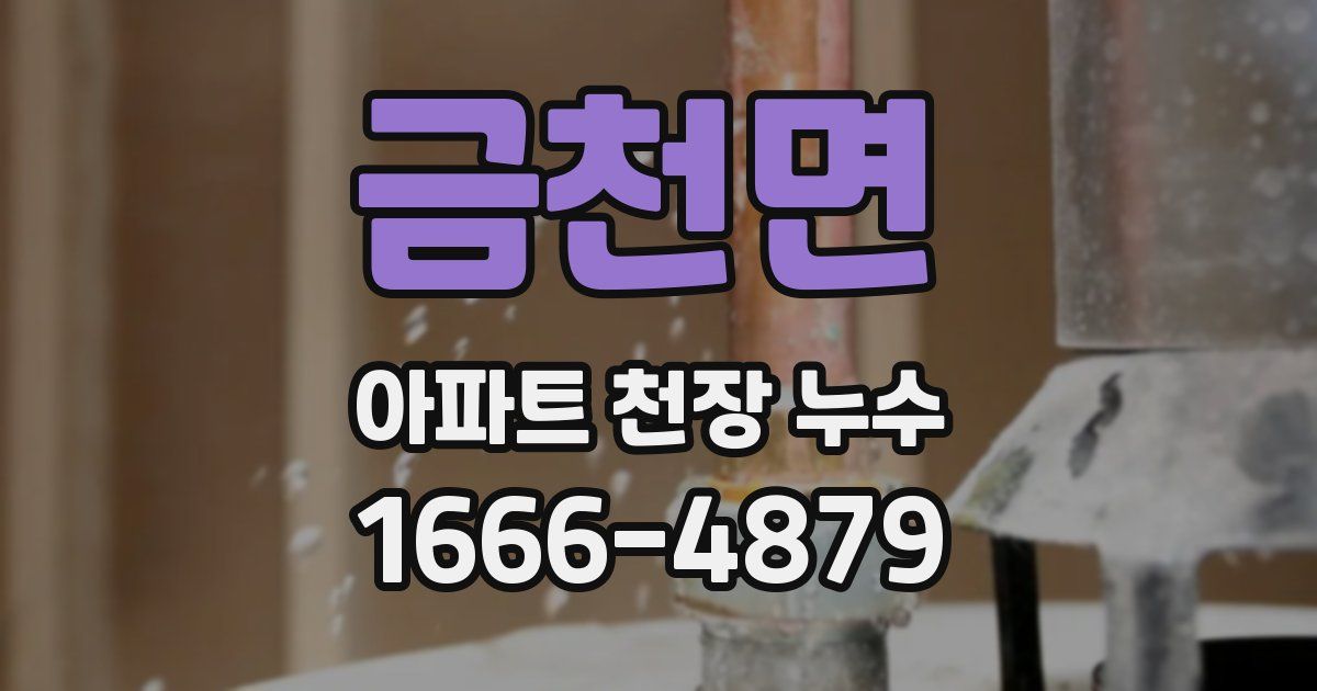 금천면 아파트 천장 누수