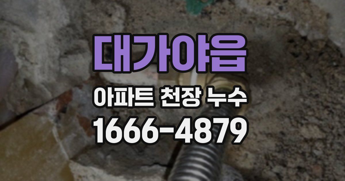 대가야읍 아파트 천장 누수