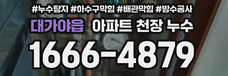 대가야읍 아파트 천장 누수