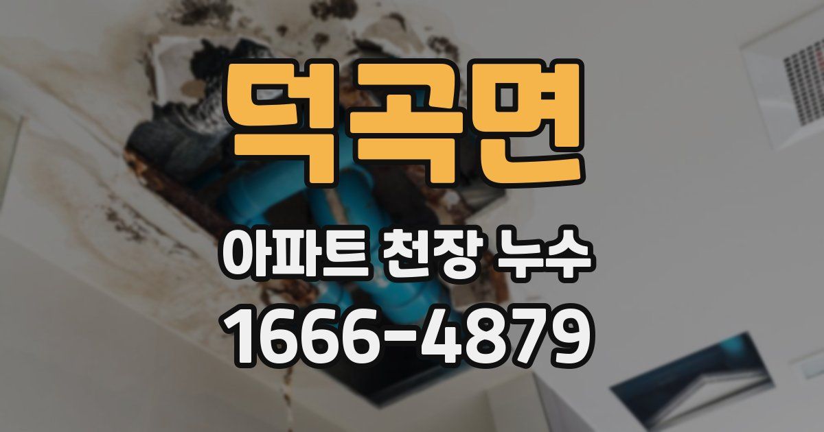 덕곡면 아파트 천장 누수