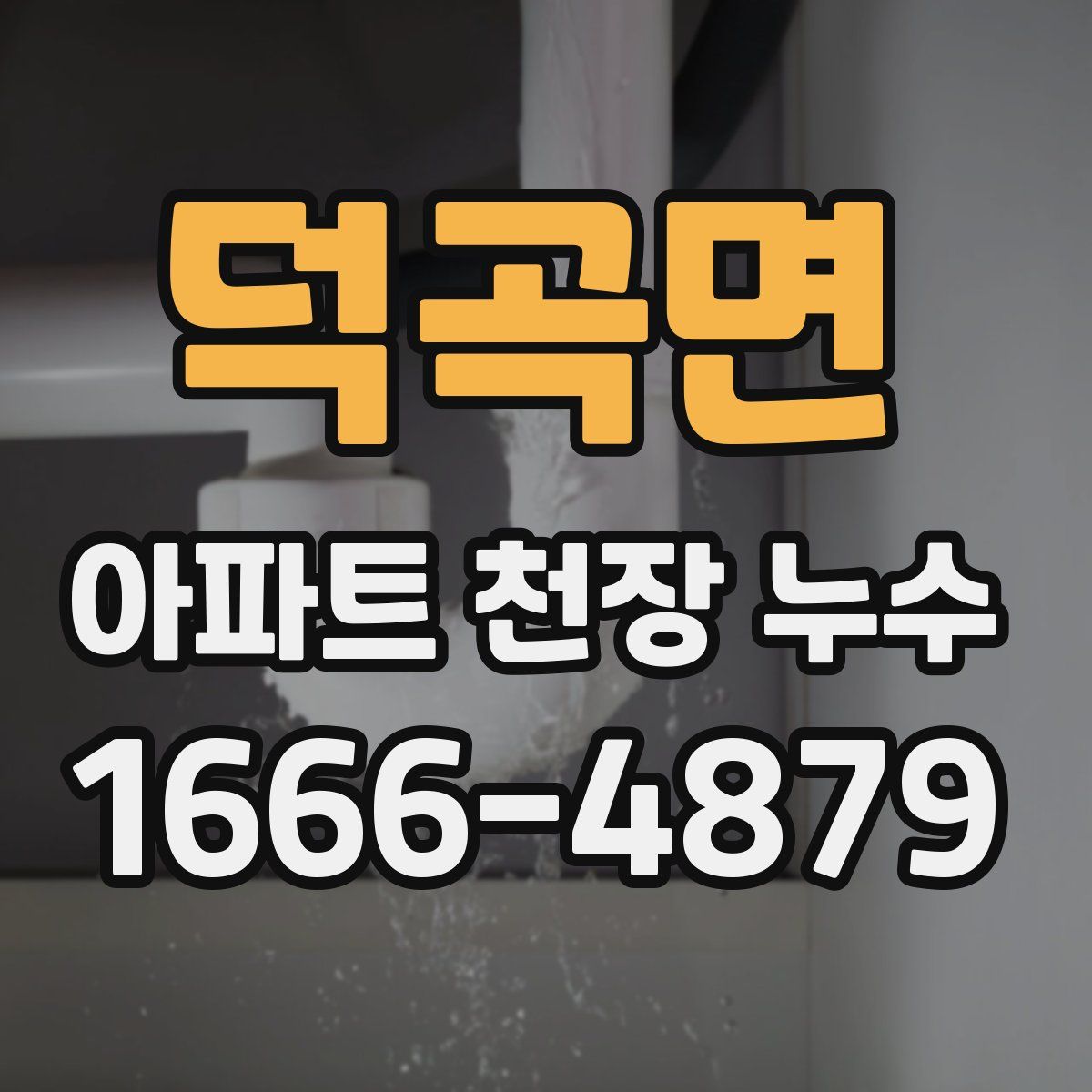 덕곡면 아파트 천장 누수