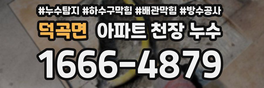 덕곡면 아파트 천장 누수