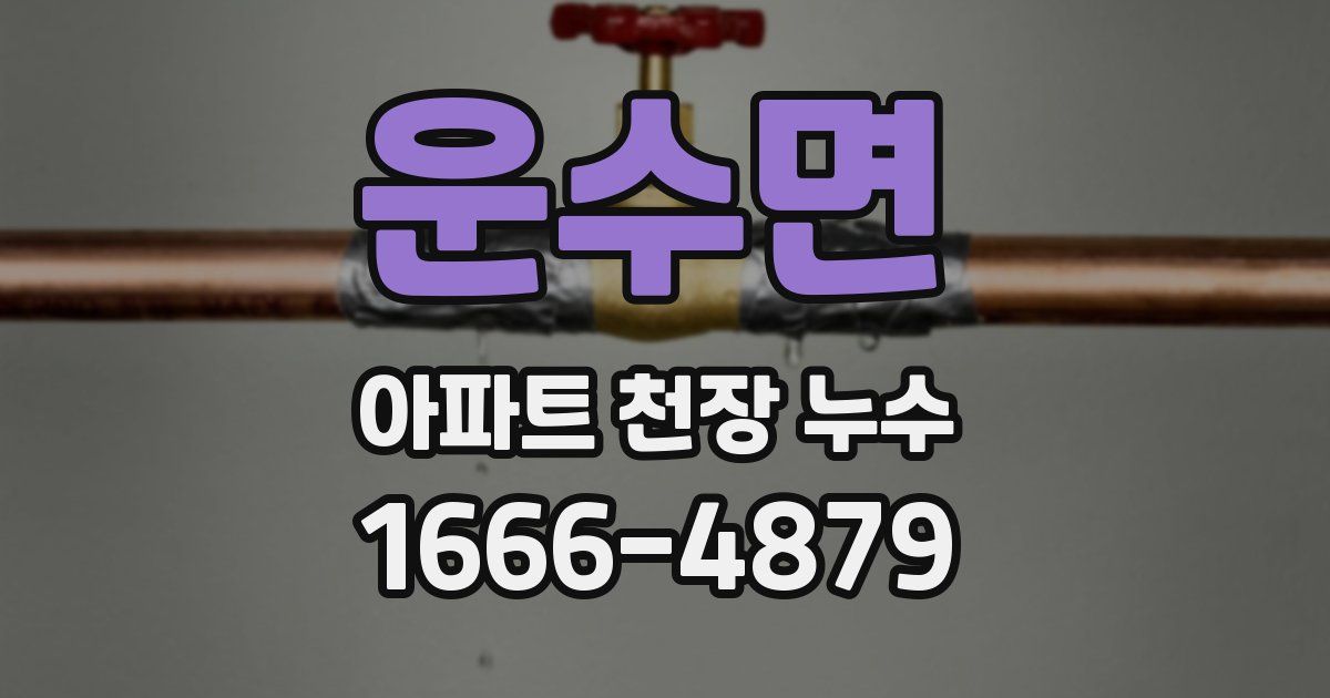 운수면 아파트 천장 누수